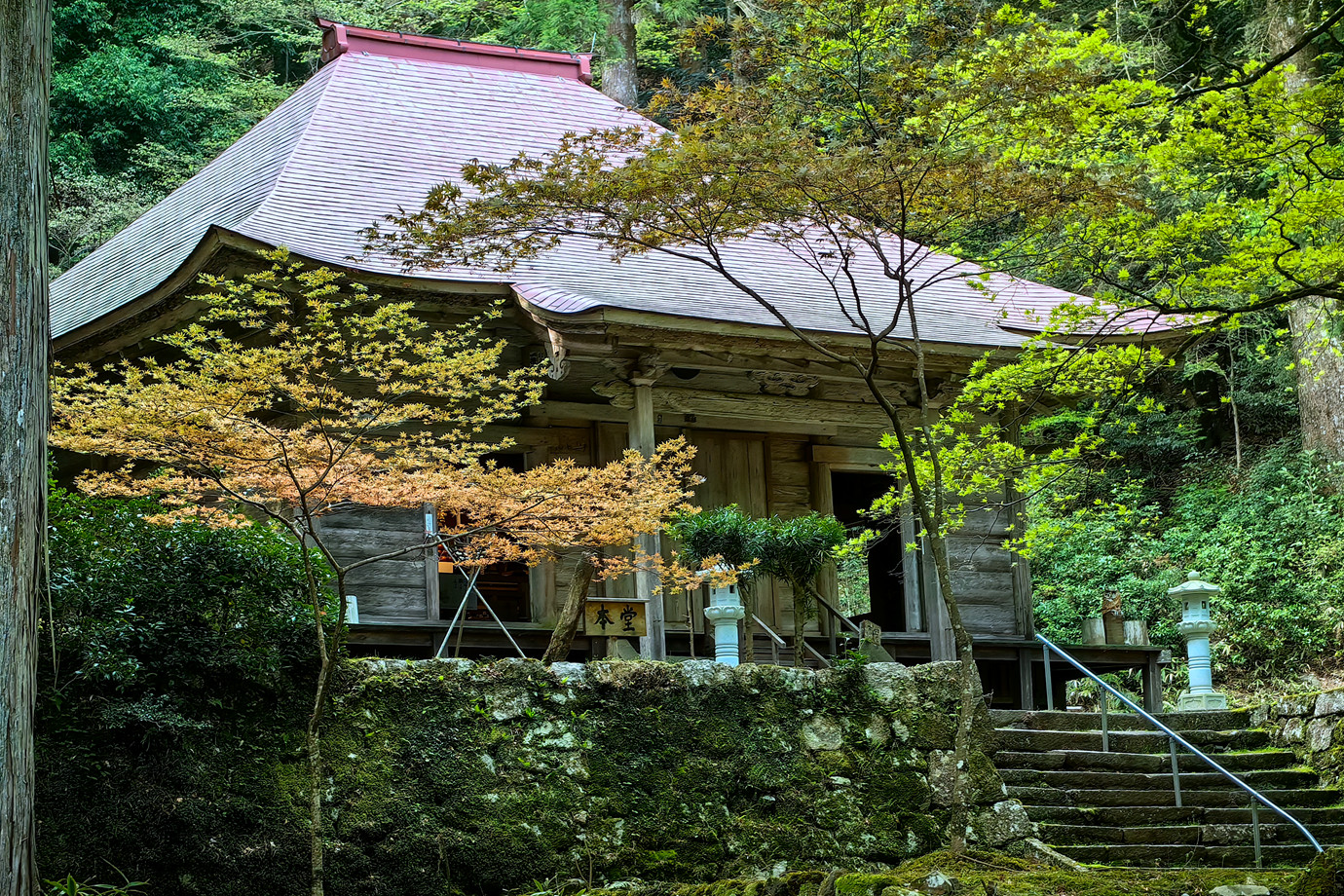 滋賀-金勝山金勝寺
